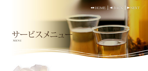 �T�[�r�X���j���[